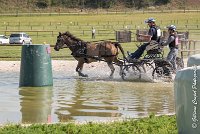 074 D403-ATTELAGE LOUVRES - MARATHON - 28052017-ATE 1645 : 2017, 28 mAI 2017, Concours ATTELAGE 2017, D403, MARATHON, Obstacle 3