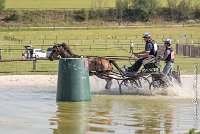 075 D403-ATTELAGE LOUVRES - MARATHON - 28052017-ATE 1646 : 2017, 28 mAI 2017, Concours ATTELAGE 2017, D403, MARATHON, Obstacle 3