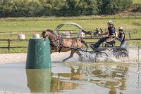 076 D403-ATTELAGE LOUVRES - MARATHON - 28052017-ATE 1647 : 2017, 28 mAI 2017, Concours ATTELAGE 2017, D403, MARATHON, Obstacle 3