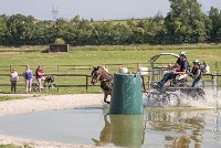 077 D403-ATTELAGE LOUVRES - MARATHON - 28052017-ATE 1648 : 2017, 28 mAI 2017, Concours ATTELAGE 2017, D403, MARATHON, Obstacle 3