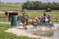 078 D403-ATTELAGE LOUVRES - MARATHON - 28052017-ATE 1649 : 2017, 28 mAI 2017, Concours ATTELAGE 2017, D403, MARATHON, Obstacle 3