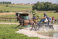 079 D403-ATTELAGE LOUVRES - MARATHON - 28052017-ATE 1650 : 2017, 28 mAI 2017, Concours ATTELAGE 2017, D403, MARATHON, Obstacle 3