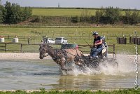 084 D403-ATTELAGE LOUVRES - MARATHON - 28052017-ATE 1655 : 2017, 28 mAI 2017, Concours ATTELAGE 2017, D403, MARATHON, Obstacle 3