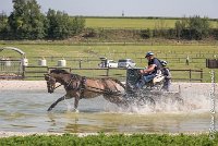 085 D403-ATTELAGE LOUVRES - MARATHON - 28052017-ATE 1656 : 2017, 28 mAI 2017, Concours ATTELAGE 2017, D403, MARATHON, Obstacle 3