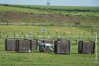 002 D404- MARATHON -ATTELAGE LOUVRES - MARATHON - 28052017-ATE 2274 : 2017, 28 mAI 2017, Concours ATTELAGE 2017, D404, MARATHON, Obstacle 1