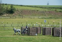 003 D404- MARATHON -ATTELAGE LOUVRES - MARATHON - 28052017-ATE 2275 : 2017, 28 mAI 2017, Concours ATTELAGE 2017, D404, MARATHON, Obstacle 1