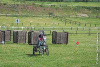 006 D404- MARATHON -ATTELAGE LOUVRES - MARATHON - 28052017-ATE 2278 : 2017, 28 mAI 2017, Concours ATTELAGE 2017, D404, MARATHON, Obstacle 1