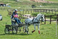 008 D404- MARATHON -ATTELAGE LOUVRES - MARATHON - 28052017-ATE 2280 : 2017, 28 mAI 2017, Concours ATTELAGE 2017, D404, MARATHON, Obstacle 1