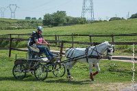 009 D404- MARATHON -ATTELAGE LOUVRES - MARATHON - 28052017-ATE 2281 : 2017, 28 mAI 2017, Concours ATTELAGE 2017, D404, MARATHON, Obstacle 1