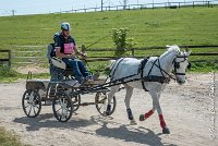 010 D404- MARATHON -ATTELAGE LOUVRES - MARATHON - 28052017-ATE 2282 : 2017, 28 mAI 2017, Concours ATTELAGE 2017, D404, MARATHON, Obstacle 1