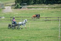 011 D404- MARATHON -ATTELAGE LOUVRES - MARATHON - 28052017-ATE 2285 : 2017, 28 mAI 2017, Concours ATTELAGE 2017, D404, MARATHON, Obstacle 2