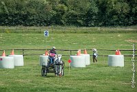 024 D404- MARATHON -ATTELAGE LOUVRES - MARATHON - 28052017-ATE 2299 : 2017, 28 mAI 2017, Concours ATTELAGE 2017, D404, MARATHON, Obstacle 2