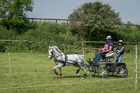 028 D404- MARATHON -ATTELAGE LOUVRES - MARATHON - 28052017-ATE 2321 : 2017, 28 mAI 2017, Concours ATTELAGE 2017, D404, MARATHON, Obstacle 3