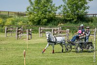 029 D404- MARATHON -ATTELAGE LOUVRES - MARATHON - 28052017-ATE 2322 : 2017, 28 mAI 2017, Concours ATTELAGE 2017, D404, MARATHON, Obstacle 3