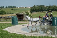 038 D404- MARATHON -ATTELAGE LOUVRES - MARATHON - 28052017-ATE 2331 : 2017, 28 mAI 2017, Concours ATTELAGE 2017, D404, MARATHON, Obstacle 3