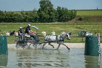 041 D404- MARATHON -ATTELAGE LOUVRES - MARATHON - 28052017-ATE 2333 : 2017, 28 mAI 2017, Concours ATTELAGE 2017, D404, MARATHON, Obstacle 3