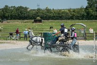 045 D404- MARATHON -ATTELAGE LOUVRES - MARATHON - 28052017-ATE 2338 : 2017, 28 mAI 2017, Concours ATTELAGE 2017, D404, MARATHON, Obstacle 3