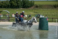 047 D404- MARATHON -ATTELAGE LOUVRES - MARATHON - 28052017-ATE 2340 : 2017, 28 mAI 2017, Concours ATTELAGE 2017, D404, MARATHON, Obstacle 3