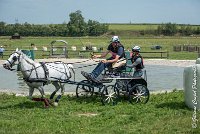 050 D404- MARATHON -ATTELAGE LOUVRES - MARATHON - 28052017-ATE 2343 : 2017, 28 mAI 2017, Concours ATTELAGE 2017, D404, MARATHON, Obstacle 3