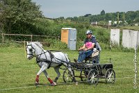 053 D404- MARATHON -ATTELAGE LOUVRES - MARATHON - 28052017-ATE 2355 : 2017, 28 mAI 2017, Concours ATTELAGE 2017, D404, MARATHON, Obstacle 4