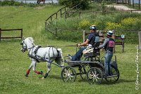 055 D404- MARATHON -ATTELAGE LOUVRES - MARATHON - 28052017-ATE 2357 : 2017, 28 mAI 2017, Concours ATTELAGE 2017, D404, MARATHON, Obstacle 4