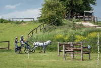 057 D404- MARATHON -ATTELAGE LOUVRES - MARATHON - 28052017-ATE 2359 : 2017, 28 mAI 2017, Concours ATTELAGE 2017, D404, MARATHON, Obstacle 4