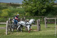 061 D404- MARATHON -ATTELAGE LOUVRES - MARATHON - 28052017-ATE 2363 : 2017, 28 mAI 2017, Concours ATTELAGE 2017, D404, MARATHON, Obstacle 4