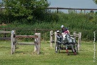 064 D404- MARATHON -ATTELAGE LOUVRES - MARATHON - 28052017-ATE 2366 : 2017, 28 mAI 2017, Concours ATTELAGE 2017, D404, MARATHON, Obstacle 4