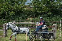 065 D404- MARATHON -ATTELAGE LOUVRES - MARATHON - 28052017-ATE 2367 : 2017, 28 mAI 2017, Concours ATTELAGE 2017, D404, MARATHON, Obstacle 4