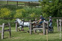 070 D404- MARATHON -ATTELAGE LOUVRES - MARATHON - 28052017-ATE 2372 : 2017, 28 mAI 2017, Concours ATTELAGE 2017, D404, MARATHON, Obstacle 4