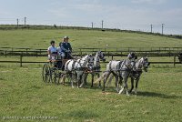 001 D501-DRESSAGE - ATTELAGE - 27052017-GAL 0573 : 2017, 27 Mai 2017, Concours ATTELAGE 2017, D501, DR07, Dressage