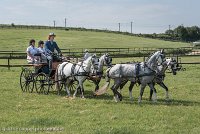 002 D501-DRESSAGE - ATTELAGE - 27052017-GAL 0574 : 2017, 27 Mai 2017, Concours ATTELAGE 2017, D501, DR07, Dressage