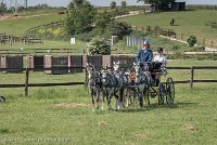 005 D501-DRESSAGE - ATTELAGE - 27052017-GAL 0578 : 2017, 27 Mai 2017, Concours ATTELAGE 2017, D501, DR07, Dressage