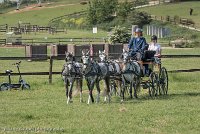 006 D501-DRESSAGE - ATTELAGE - 27052017-GAL 0579 : 2017, 27 Mai 2017, Concours ATTELAGE 2017, D501, DR07, Dressage