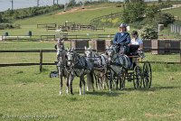 007 D501-DRESSAGE - ATTELAGE - 27052017-GAL 0580 : 2017, 27 Mai 2017, Concours ATTELAGE 2017, D501, DR07, Dressage