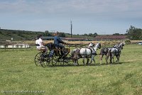 008 D501-DRESSAGE - ATTELAGE - 27052017-GAL 0585 : 2017, 27 Mai 2017, Concours ATTELAGE 2017, D501, DR07, Dressage