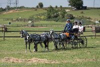 009 D501-DRESSAGE - ATTELAGE - 27052017-GAL 0625 : 2017, 27 Mai 2017, Concours ATTELAGE 2017, D501, DR07, Dressage