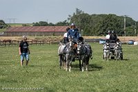 010 D501-DRESSAGE - ATTELAGE - 27052017-GAL 0703 : 2017, 27 Mai 2017, Concours ATTELAGE 2017, D501, DR07, Dressage