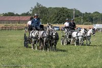 011 D501-DRESSAGE - ATTELAGE - 27052017-GAL 0704 : 2017, 27 Mai 2017, Concours ATTELAGE 2017, D501, DR07, Dressage