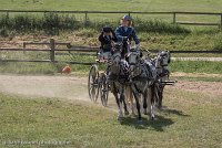 013 D501-DRESSAGE - ATTELAGE - 27052017-GAL 0750 : 2017, 27 Mai 2017, Concours ATTELAGE 2017, D501, DR07, Dressage