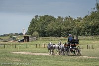 016 D501-DRESSAGE - ATTELAGE - 27052017-GAL 0753 : 2017, 27 Mai 2017, Concours ATTELAGE 2017, D501, DR07, Dressage