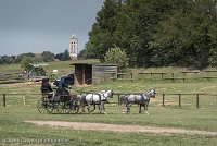 017 D501-DRESSAGE - ATTELAGE - 27052017-GAL 0754 : 2017, 27 Mai 2017, Concours ATTELAGE 2017, D501, DR07, Dressage