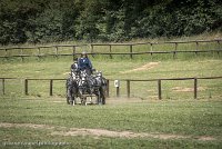 018 D501-DRESSAGE - ATTELAGE - 27052017-GAL 0755 : 2017, 27 Mai 2017, Concours ATTELAGE 2017, D501, DR07, Dressage