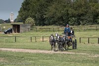 019 D501-DRESSAGE - ATTELAGE - 27052017-GAL 0756 : 2017, 27 Mai 2017, Concours ATTELAGE 2017, D501, DR07, Dressage