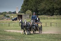 020 D501-DRESSAGE - ATTELAGE - 27052017-GAL 0757 : 2017, 27 Mai 2017, Concours ATTELAGE 2017, D501, DR07, Dressage