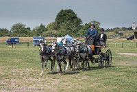 021 D501-DRESSAGE - ATTELAGE - 27052017-GAL 0758 : 2017, 27 Mai 2017, Concours ATTELAGE 2017, D501, DR07, Dressage