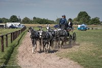 022 D501-DRESSAGE - ATTELAGE - 27052017-GAL 0759 : 2017, 27 Mai 2017, Concours ATTELAGE 2017, D501, DR07, Dressage