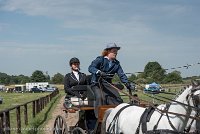 024 D501-DRESSAGE - ATTELAGE - 27052017-GAL 0761 : 2017, 27 Mai 2017, Concours ATTELAGE 2017, D501, DR07, Dressage