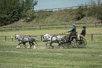 026 D501-DRESSAGE - ATTELAGE - 27052017-GAL 0763 : 2017, 27 Mai 2017, Concours ATTELAGE 2017, D501, DR07, Dressage