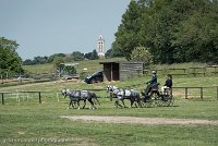 027 D501-DRESSAGE - ATTELAGE - 27052017-GAL 0764 : 2017, 27 Mai 2017, Concours ATTELAGE 2017, D501, DR07, Dressage